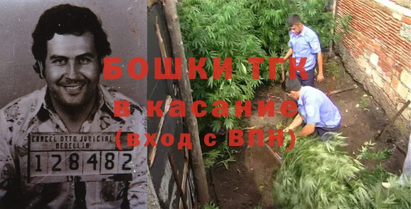 сатива Гусь-Хрустальный