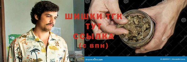 сатива Гусь-Хрустальный