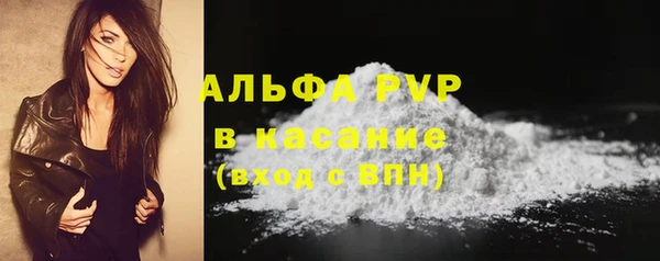 сатива Гусь-Хрустальный