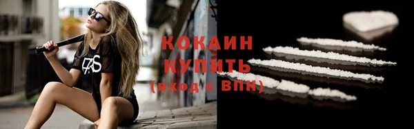 сатива Гусь-Хрустальный