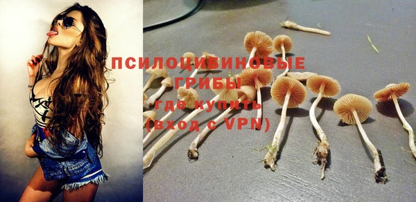 дмт Гусиноозёрск