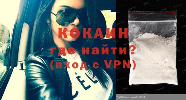 сатива Гусь-Хрустальный