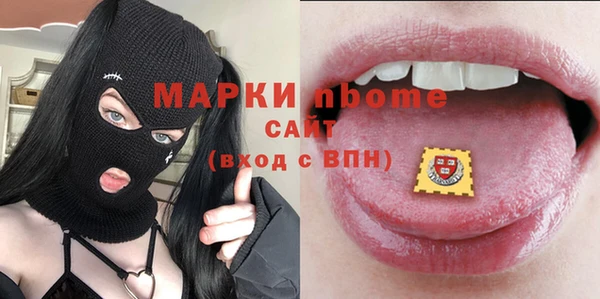 сатива Гусь-Хрустальный