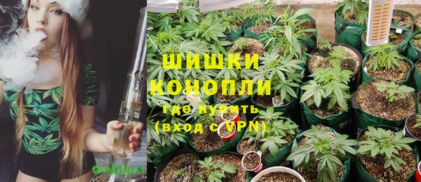 сатива Гусь-Хрустальный