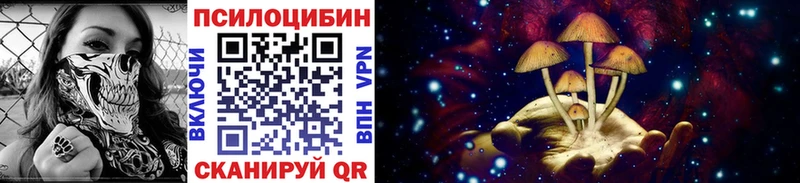 Купить  Малмыж  Галлюциногенные грибы мицелий 
