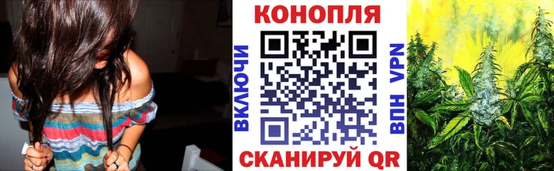 Конопля Amnesia  Купить где  Малмыж 